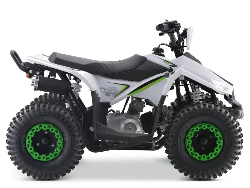 110ccガソリンエンジン搭載の子供用ATV 4輪クワッドバ - Kids Toys Quad のレビューと価格