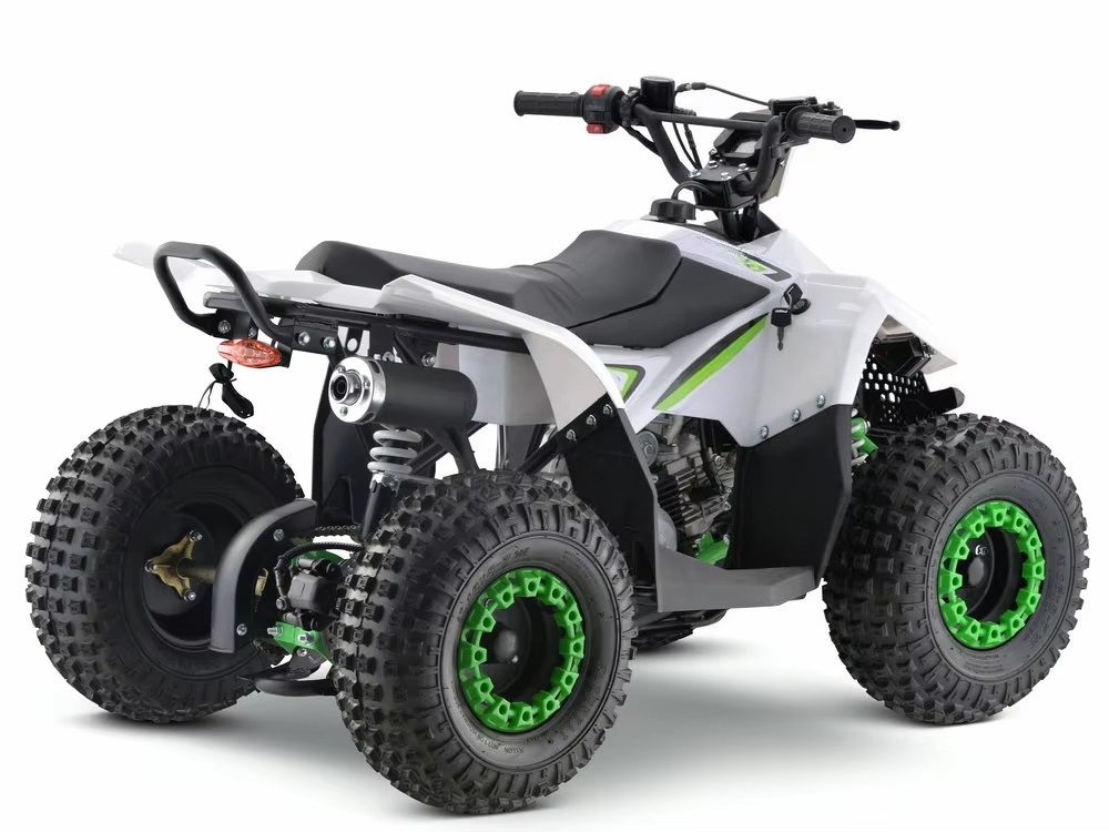 110ccガソリンエンジン搭載の子供用ATV 4輪クワッドバ - Kids Toys Quad のレビューと価格
