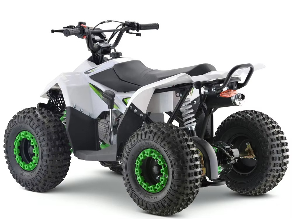 110ccガソリンエンジン搭載の子供用ATV 4輪クワッドバ - Kids Toys Quad のレビューと価格