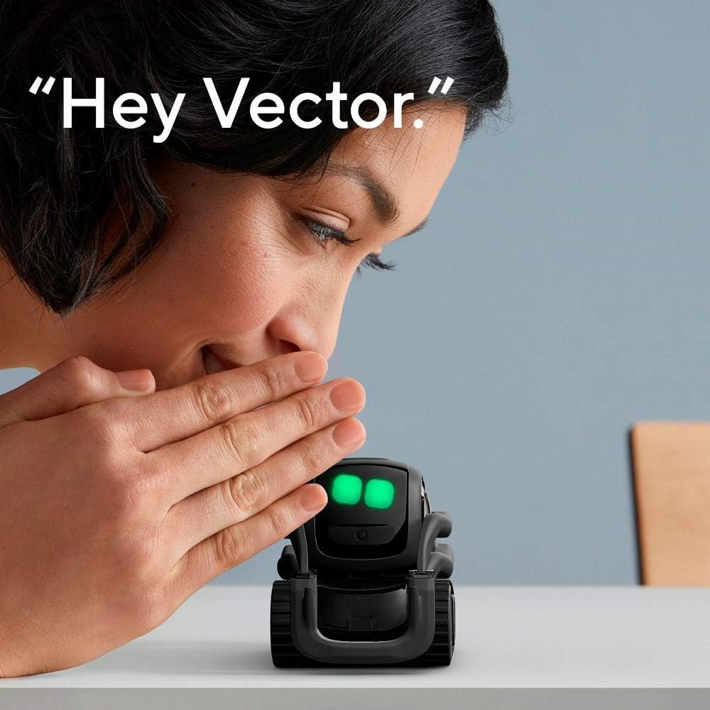 AI ChatGPT 2.0接続ロボットコンパニオン、顔認識 - Kids Toys Home のレビューと価格