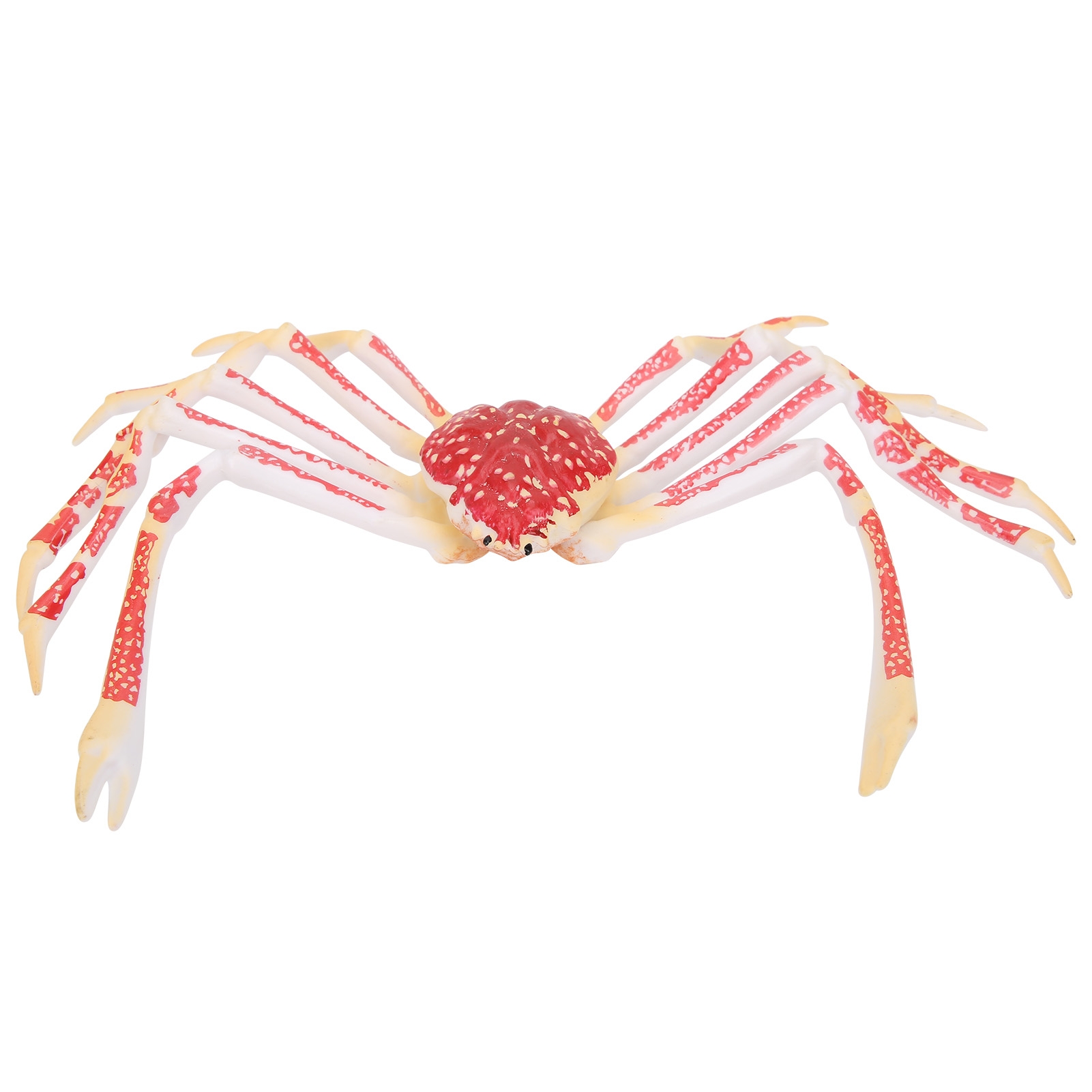 模擬カニモデル装飾子供用プラスチック海洋動物おもちゃ子供ギフ - Kids Toys Home のレビューと価格