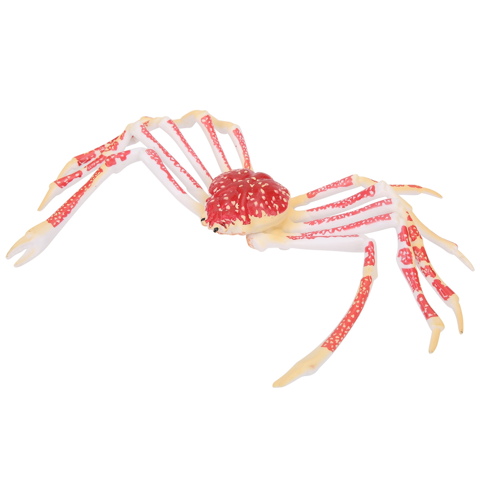 模擬カニモデル装飾子供用プラスチック海洋動物おもちゃ子供ギフ - Kids Toys Home のレビューと価格