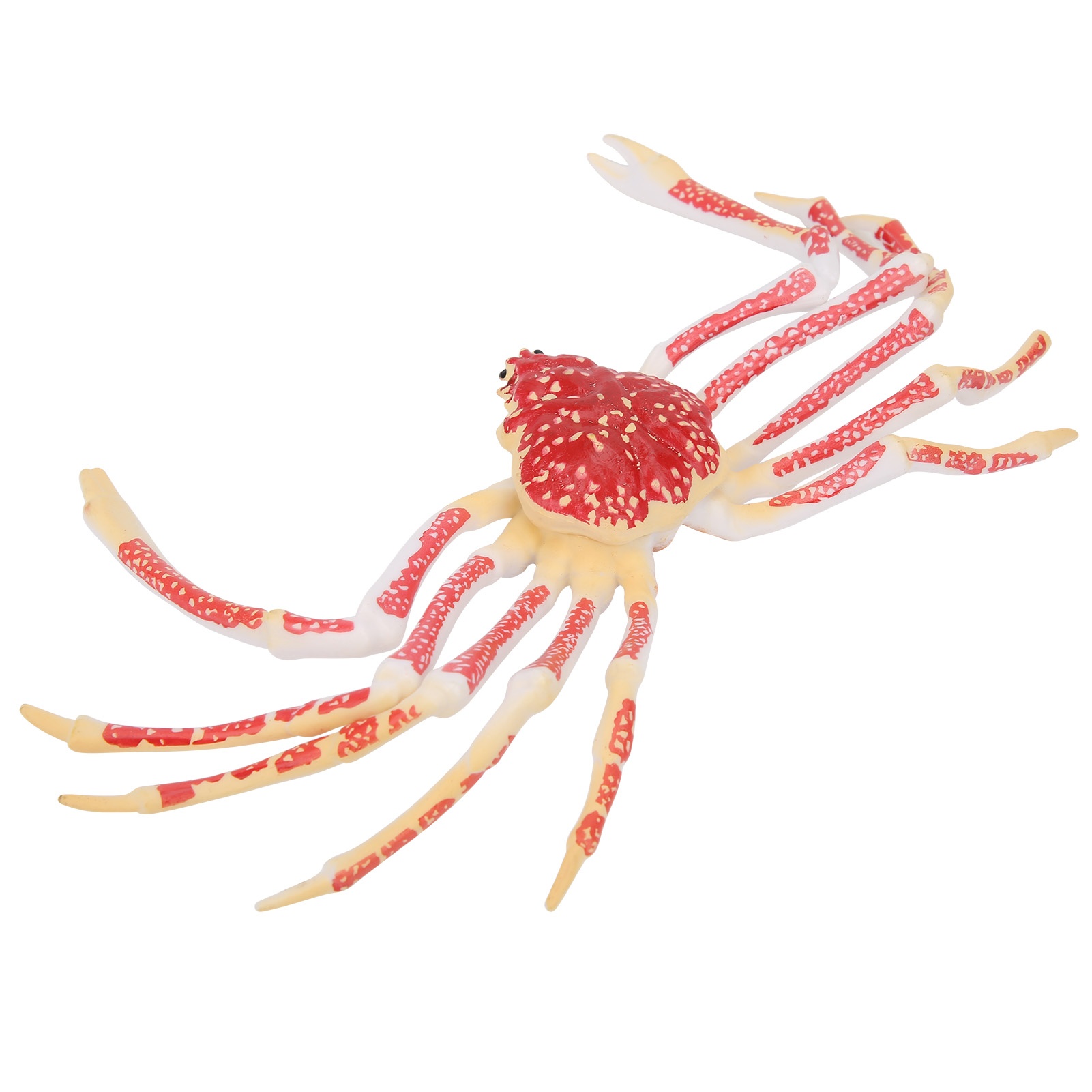 模擬カニモデル装飾子供用プラスチック海洋動物おもちゃ子供ギフ - Kids Toys Home のレビューと価格