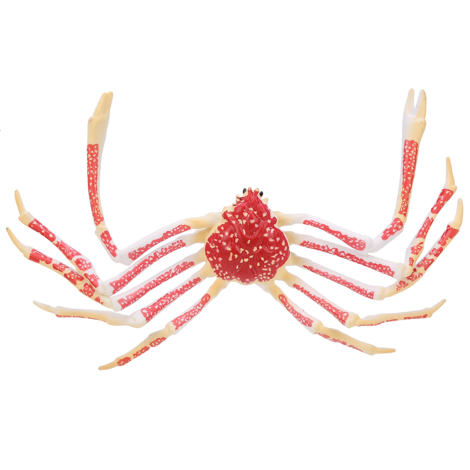 模擬カニモデル装飾子供用プラスチック海洋動物おもちゃ子供ギフ - Kids Toys Home のレビューと価格