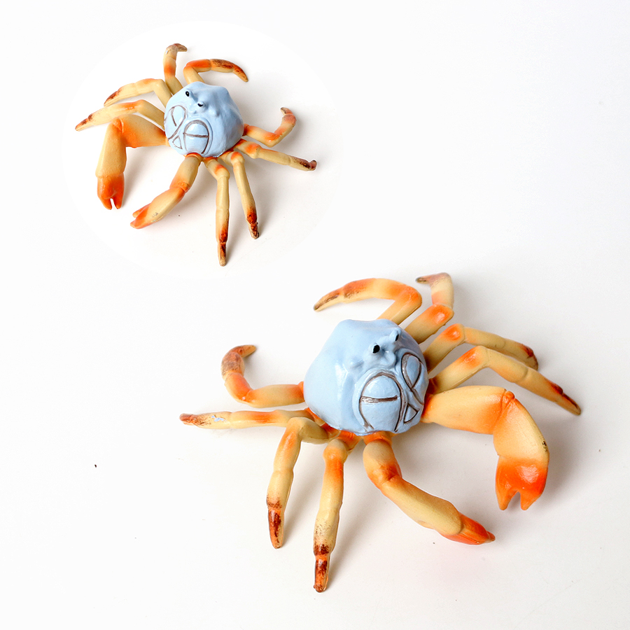リアルな海洋動物ヤドカリココナッツカニフィドラークラブ海洋生 - Kids Toys Home のレビューと価格